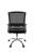 17501 nuevo soporte lumbar atras